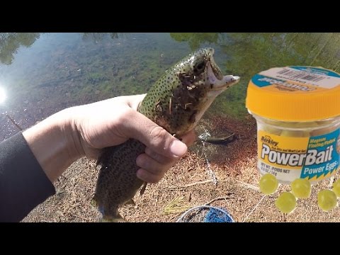 Stocked Trout Fishing w/ Powerbait MOUSE TAILS! Trout cheat code!! 