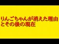 りんごちゃんが消えた理由とその後の現在について話してみた!