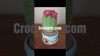 free Crochet cactus pattern