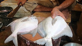 Excellent Pomfret Fish Cutting Live In Fish Market | Fillet Fishing Cut