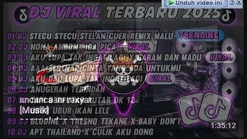 DJ TIKTOK TERBARU 2025-🎵 DJ DJ STECU STECU STELAN CUEK REMIX 🎵 DJ COBA COBA JALANIN DULU FULL ALBUM