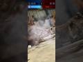 ATROCOMAXIMA VS BECKLEJARA - Jurassic World Alive