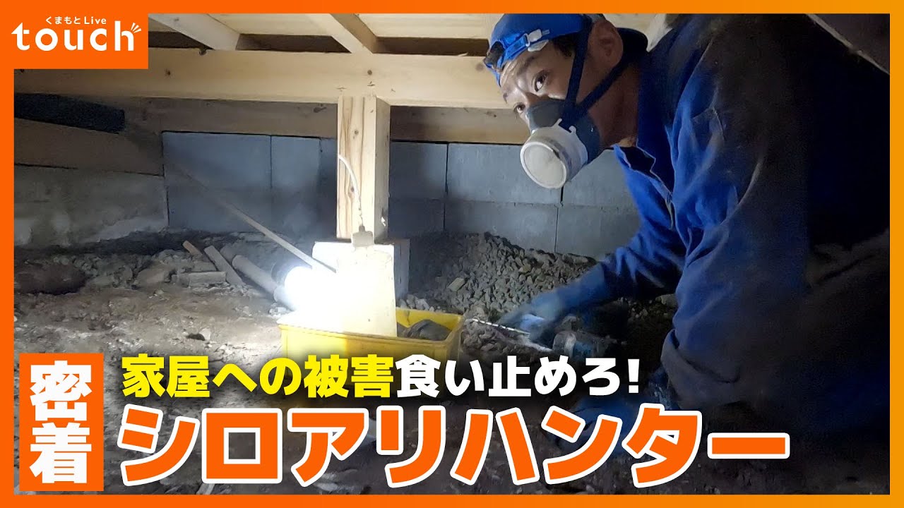 密着！シロアリハンター これから警戒時期… 家屋への被害を食い止めろ！