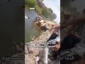 سقوط جرافة بترعة أثناء إنقاذ تاكسي بمصر