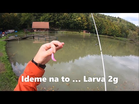 Chytanie pstruha dúhového na rybníku na gumu ... / Rainbow trout lake fishing on silicone baits ...