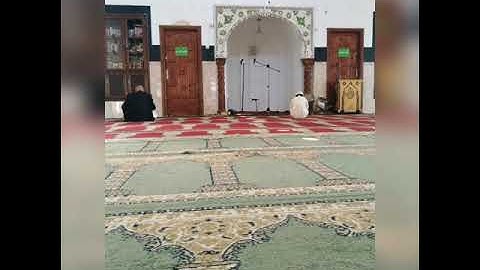 مقطع بصوت الأخ محمد رضا زيان من سورة البقرة ♥️