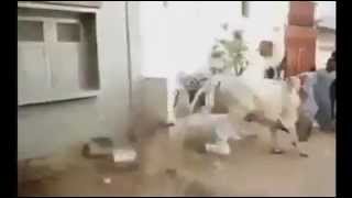 Benim Adım Bomba Soyadım Ölüm