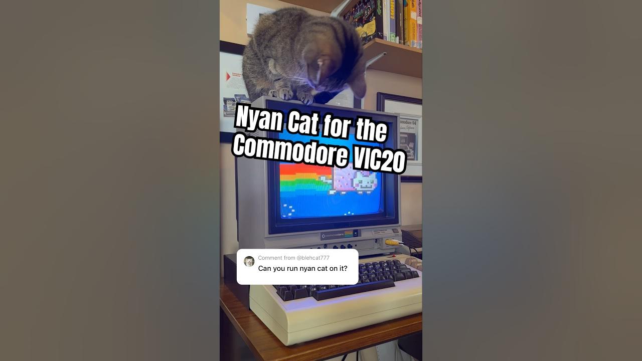 Nyan Cat for the Commodore VIC20 by @javiergonzalez7104 #retrocomputing #meme #nyancat #asmr Nyan Cat for the Commodore VIC20 by @javiergonzalez7104 #retrocomputing #meme #nyancat #asmr