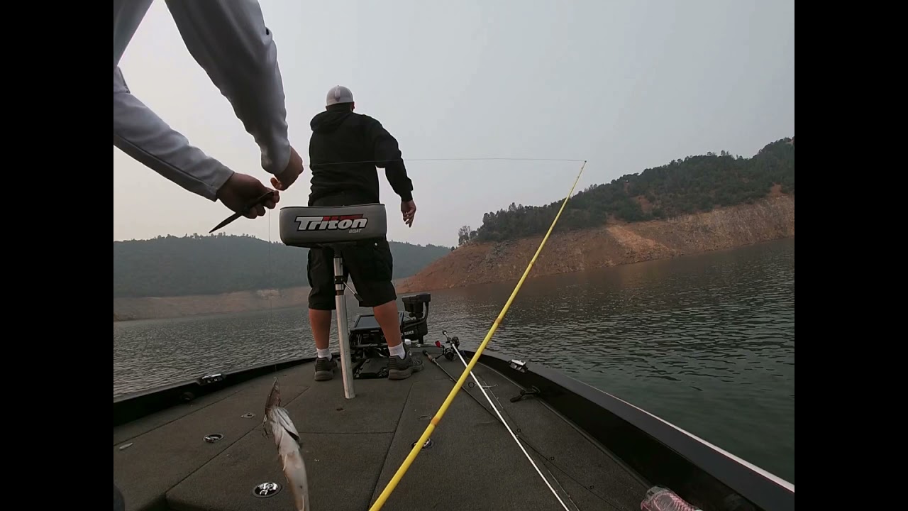 New Melones bass fishing. Fall Transition