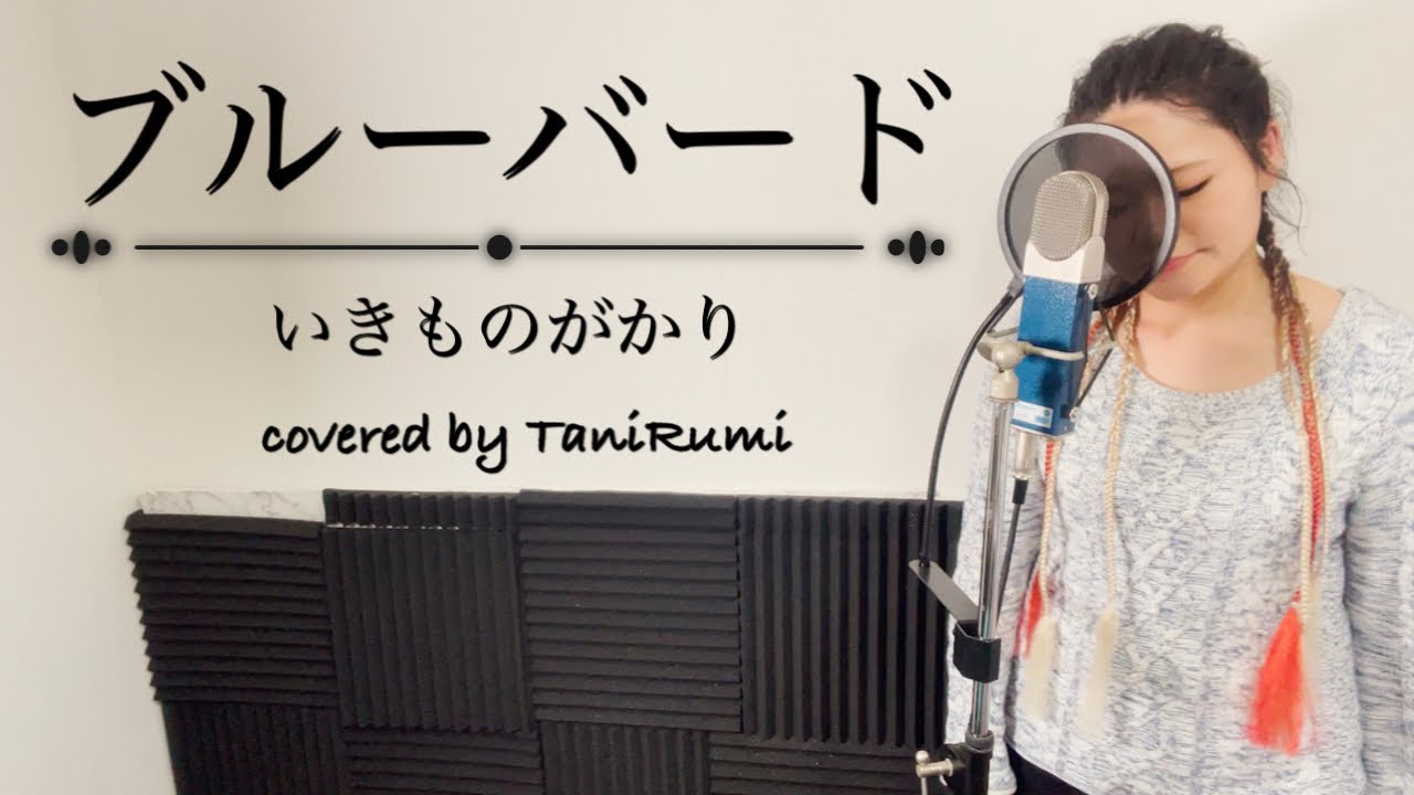 Naruto ナルト 疾風伝 ブルーバード いきものがかり アニメ主題歌 Op フル歌詞付き Cover Blue Bird Ikimonogakari 歌ってみた Youtube