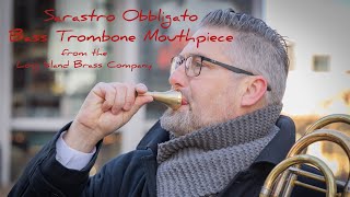 管楽器・吹奏楽器 Ultimate Brass Denson Paul Pollard SP 管楽器・吹奏楽器 Ultimate Brass Denson Paul Pollard SP