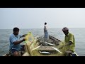 முரல் மீன் பிடிக்கும் காட்சி | Catching Needle fish | MUTHUNAGAR MEENAVAN