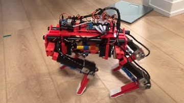 Quadruped Robot trotting