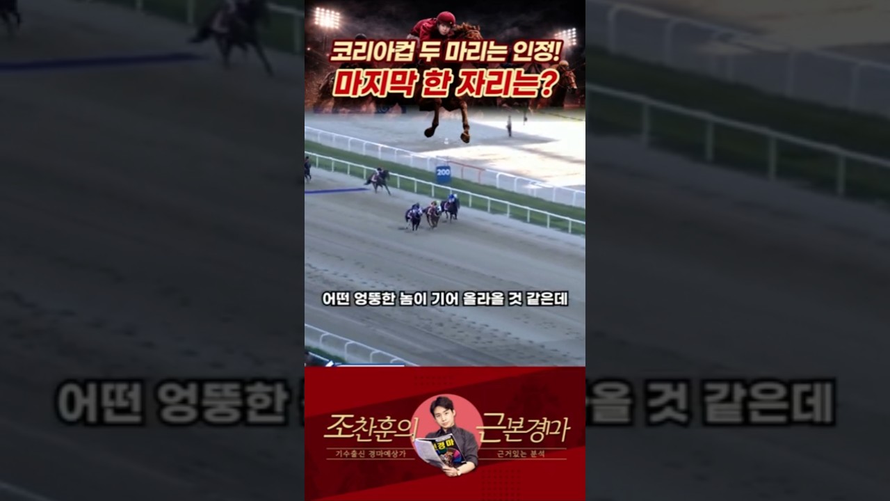 코리아컵 인정 두 마리! 3착 한 마리 찾기