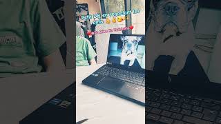 Petit Dej Devant Les Amies