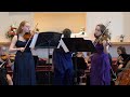 2023 arconet spring concert telemann  concerto for two violas in g major twv 52 g3