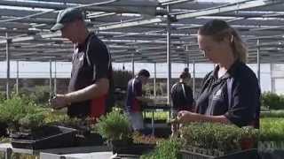 Mansfields Propagation Nursery - Gardening Australia Feature