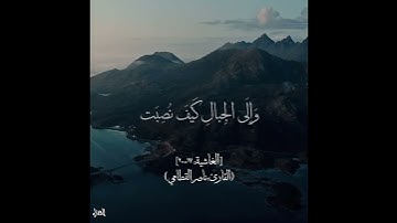 أفلا ينظرون إلى الإبل كيف خلقت ۞ سورة الغاشية ۞ ناصر القطامي