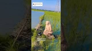Model Hijab Jatuh Di Sawah