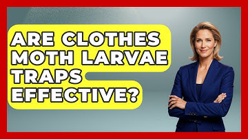 Are Clothes Moth Larvae Traps Effective? - Insects and Invaders