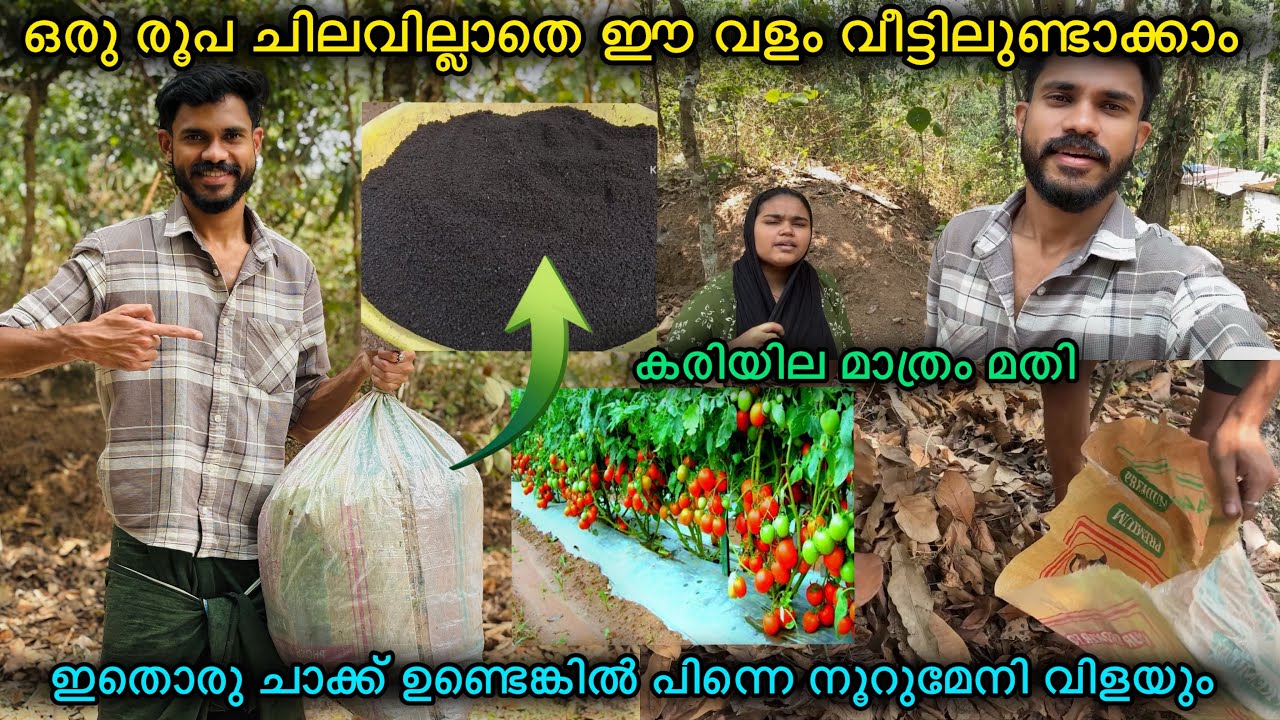 ഒരു രൂപ ചിലവില്ലാതെ കമ്പോസ്റ്റ് ഉണ്ടാക്കാം😍ഇതുണ്ടെങ്കിൽ നൂറുമേനി വിളയും🍅🌾KARIYILA COMPOST MALAYALAM
