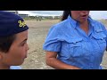 Hatchlings found in Tybee hotel released