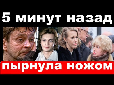 5 минут / пырнула ножом / чп Собчак ,Домогаров / новости комитета Михалкова