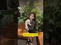 bảo sao thì làm vậy thôi, có bao giờ dám trái lời đâu