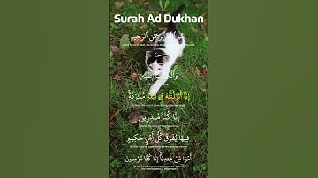 سورة الدخان  - Surah Ad Dukhan (The Smoke) |  Mishary Rashid Al Alafasy