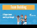 Team Development Stages Quiz