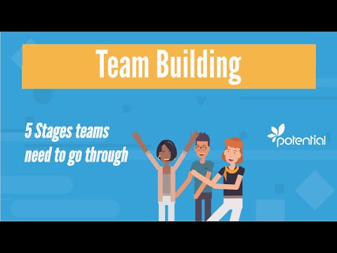 5 Stages of Team Building - What you should know when developing teams or groups