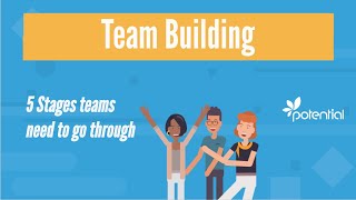 5 Stages of Team Building - What you should know when developing teams or groups