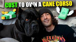 The Cost To Own A Cane Corso In 2026