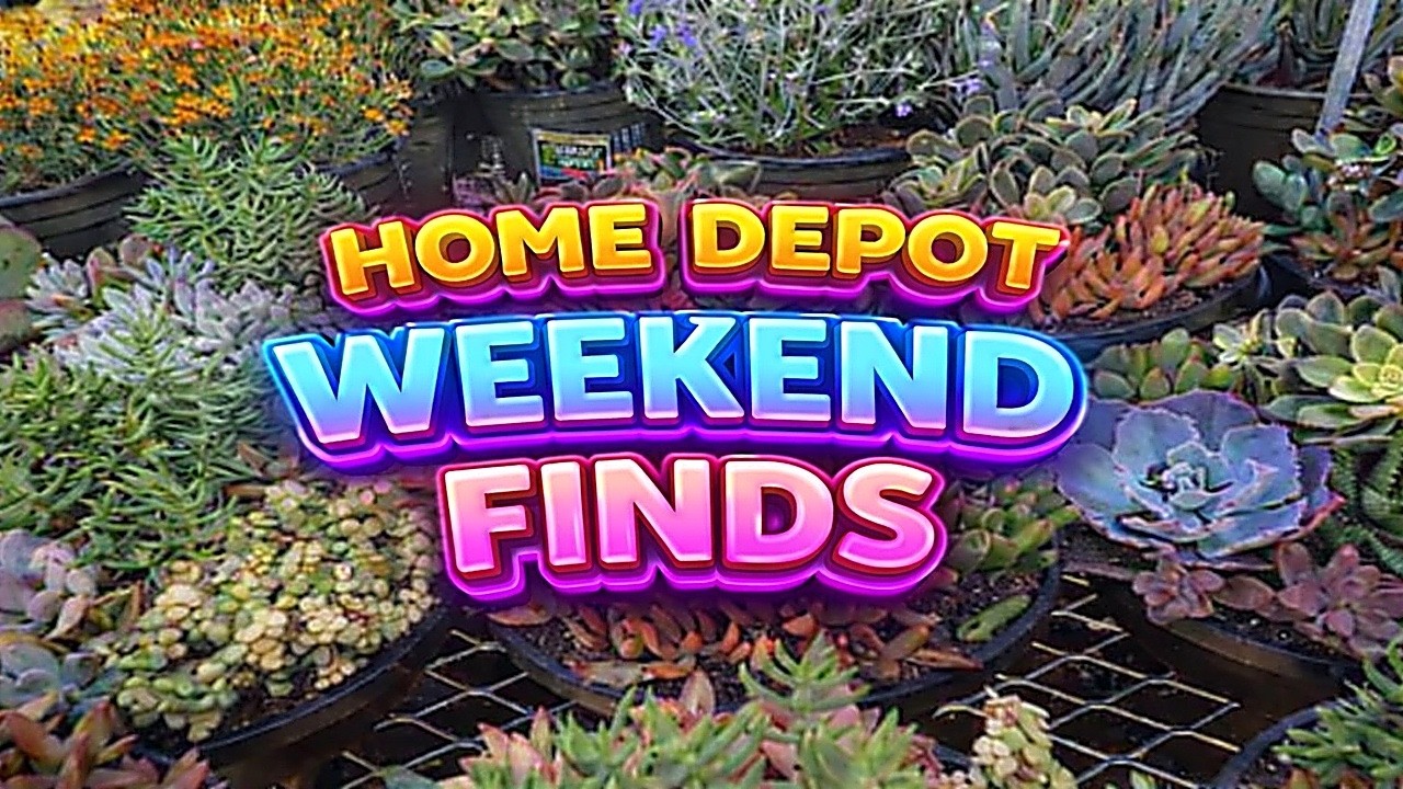 Home Depot Is READY for the Weekend! 🌿 Fresh Plant Restock & Garden Finds
