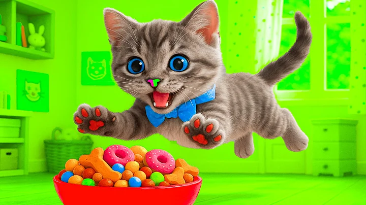 Special Little Kitten Adventure Long Video - Cartoon Educational Whisker Discovering games and World
