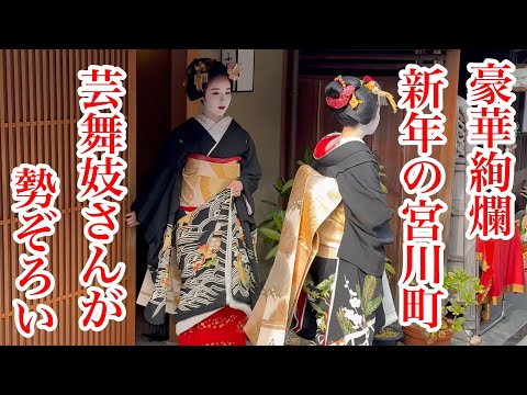 2025年1月5日 豪華絢爛❗️新春の宮川町に芸舞妓さんが勢ぞろい