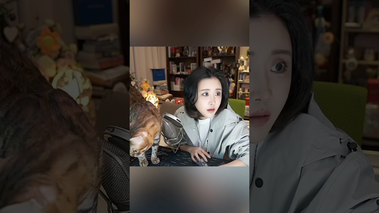 陈一发儿：没时间盯盘，自动网格交易受害者😭😭