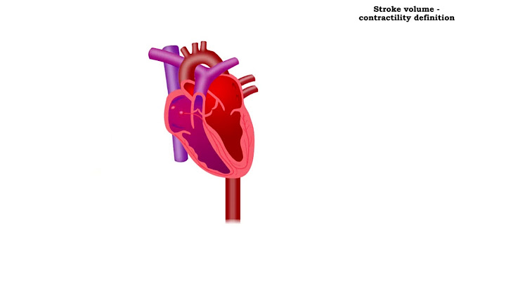 What is the term that refers to an increase in stroke volume in response to the stretching of the heart?