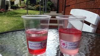 Celebrity Timelapse: Dyed Ice Cube Melting- Regular Temperature/ Tap and Salty Water/ Outdoor Environment Net Worth