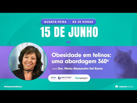 Vídeo: Como tratar a obesidade em gatos: 14 etapas (com fotos)