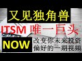 55 又见独角兽， ITSM 唯一巨头， NOW