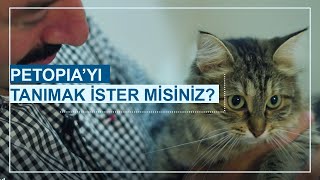 Kopek Asilari Takvimi Ve Fiyatlari 2021 Umraniye Veteriner