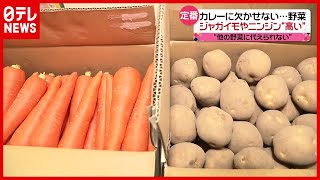 【定番野菜】“２倍”も…値上がりの原因は？ ジャガイモやニンジン