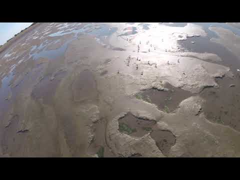 Walking the Wadden