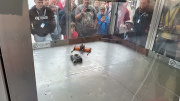 Vertpilled Bitemaxxer vs Dark Oranje | Beetleweight Combat Robots | MMM34 Hannover 2025