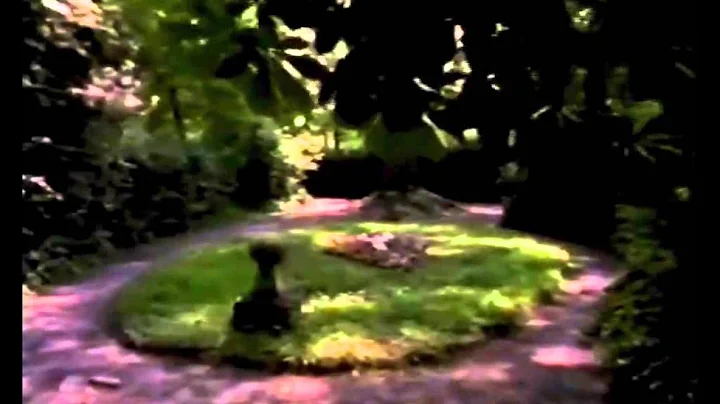 Christopher Koch & Tim Cowling - Normandy: The Gre...
