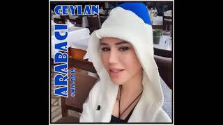 Ceylan-Arabaci