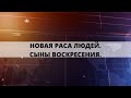 НОВАЯ РАСА ЛЮДЕЙ. СЫНЫ ВОСКРЕСЕНИЯ. Андрей Яковишин