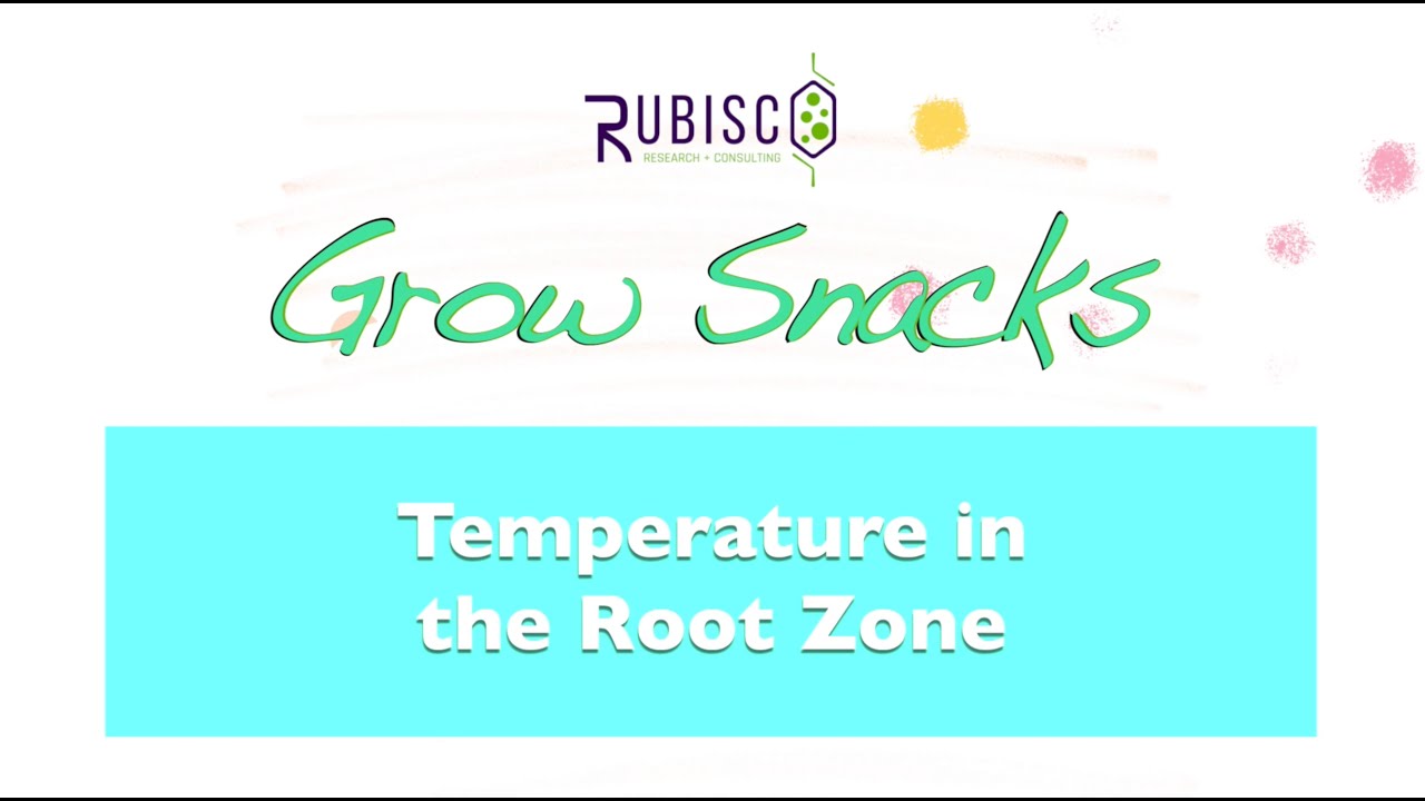 Temperature in the Root Zone
