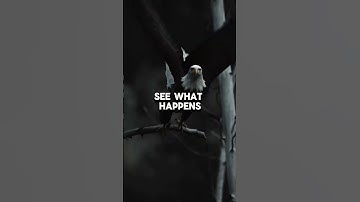 Embracing Change: How to Navigate Life Transitions #motivation #growthmindset